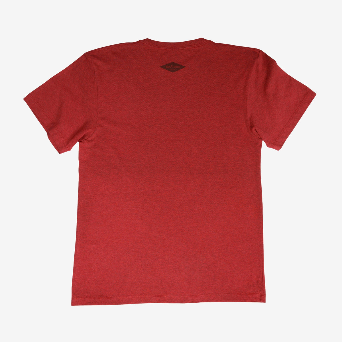 backyard-t-shirt-i1 Shirt_Mtn_Back.jpg